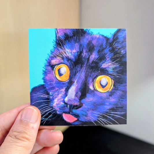 Close Encounters Collection - "Cat-atonic" Non-Holographic Matte Sticker - Close Up of a Silly Black Cat Decorative Stickers JoyousJoyfulJoyness 