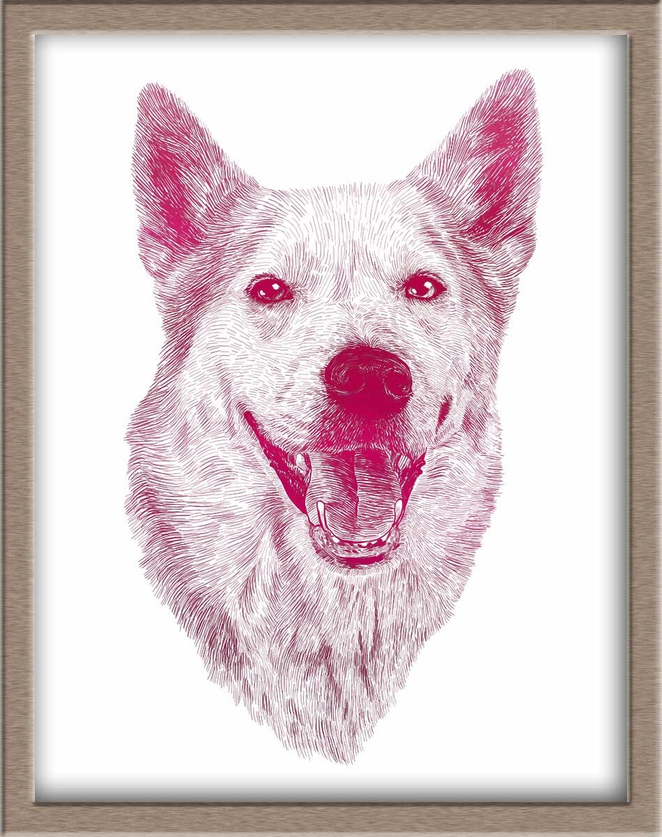 Custom pet outlet art prints